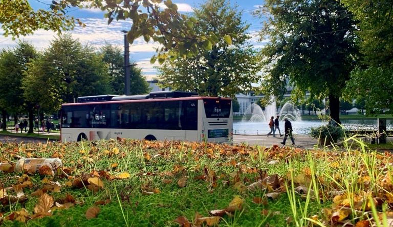 Ein Skyss-buss under blå himmel i Bergen, der blada på bakken er blitt orange og brune.