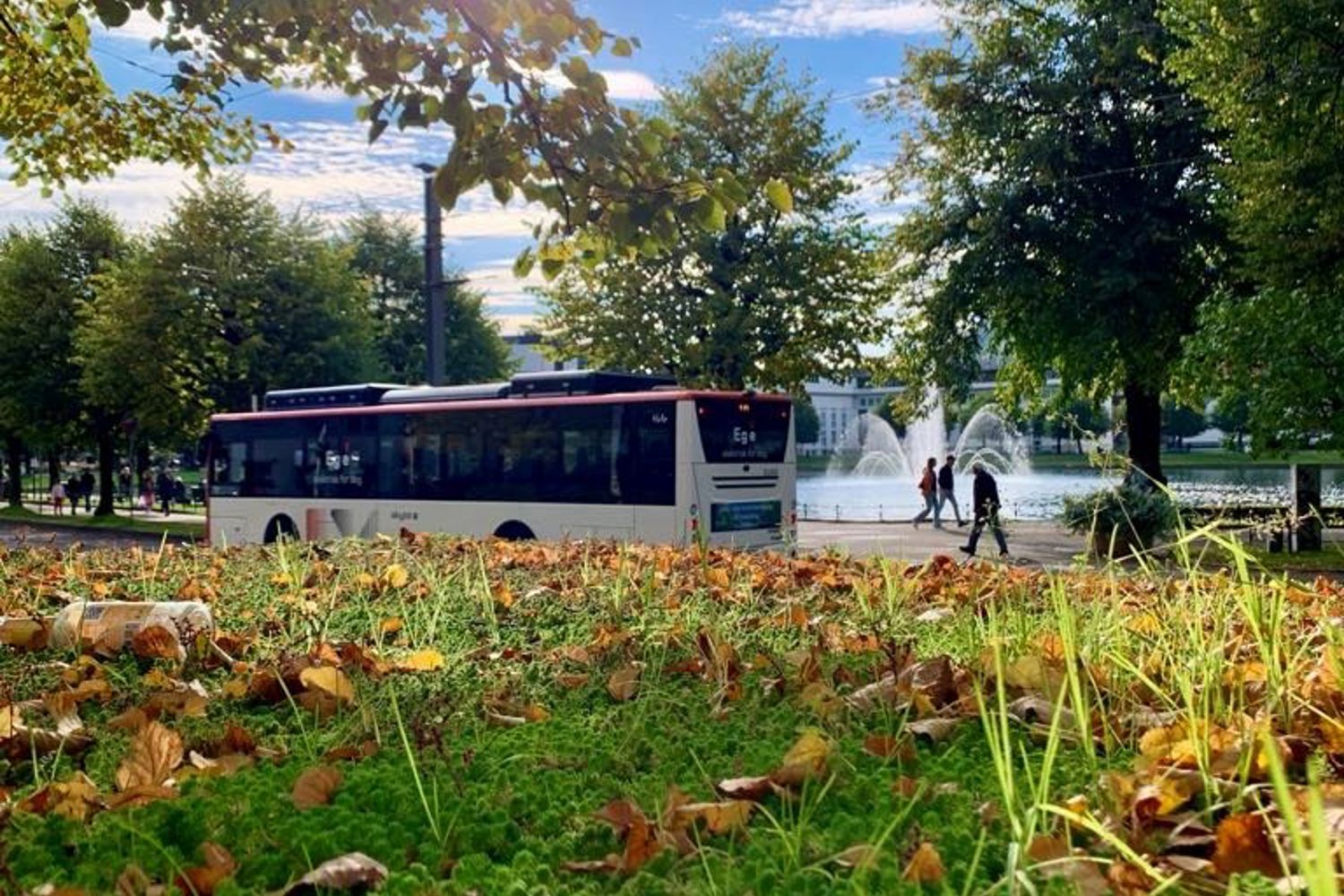Ein Skyss-buss under blå himmel i Bergen, der blada på bakken er blitt orange og brune.